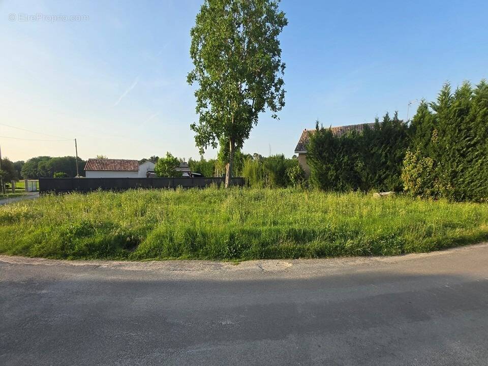 Terrain à PEUJARD