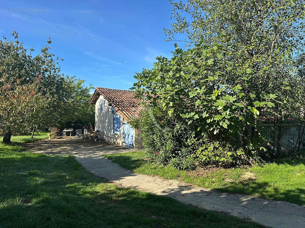 Grande Toulousaine avec 4 chambres et dépendances sur 3200m² de terrain ! - photo 12