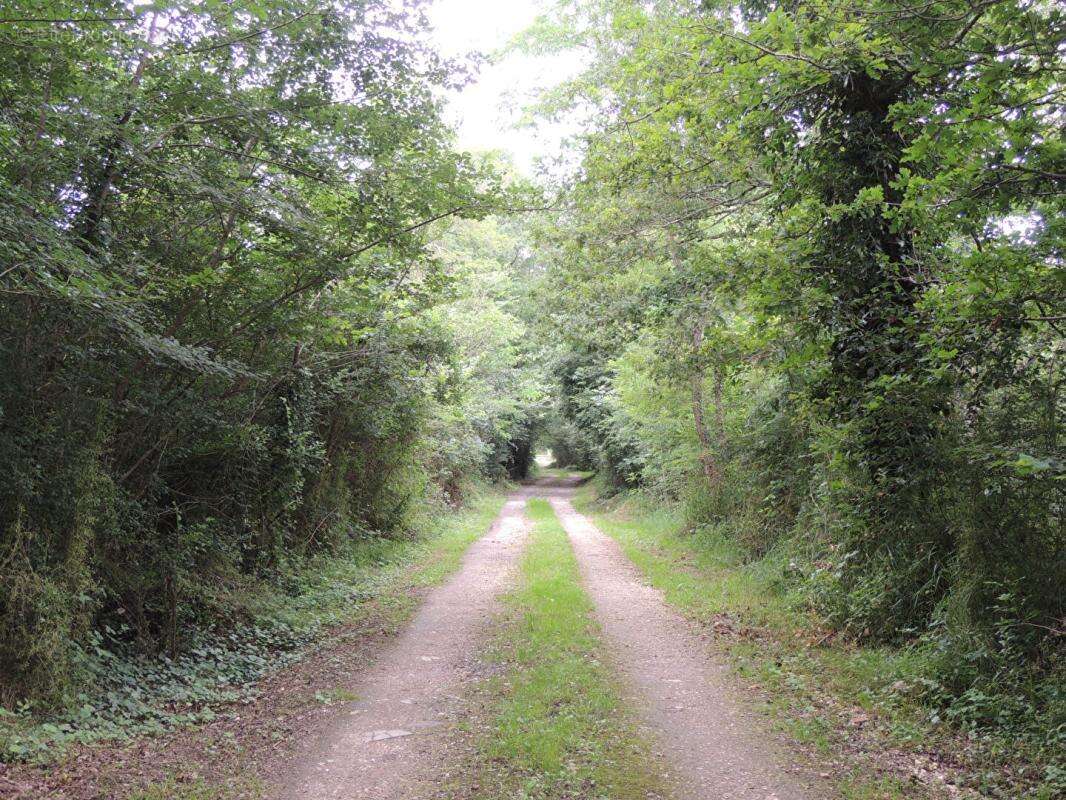 Propriété de chasse Myennes 8 pièce(s) 254 m2 - photo 9
