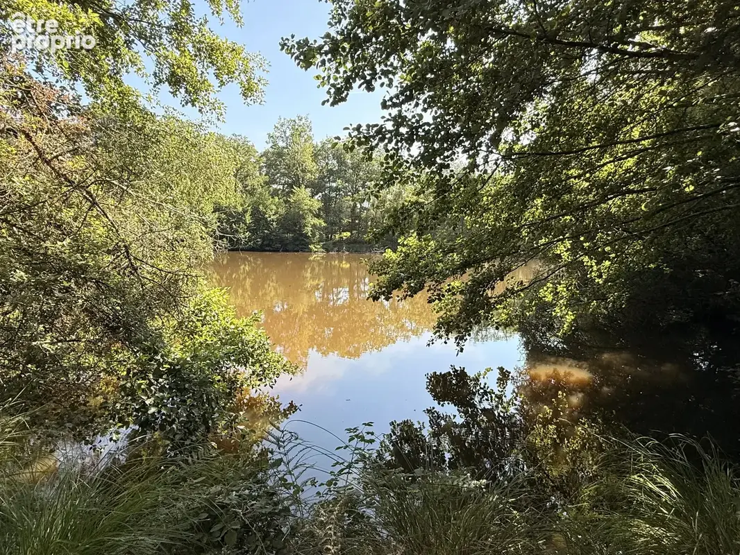 Étang privé de loisirs et de pêche avec bois proche de Montrollet - photo 6