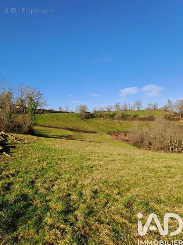 Photo 3 - Terrain à SARRAGUZAN