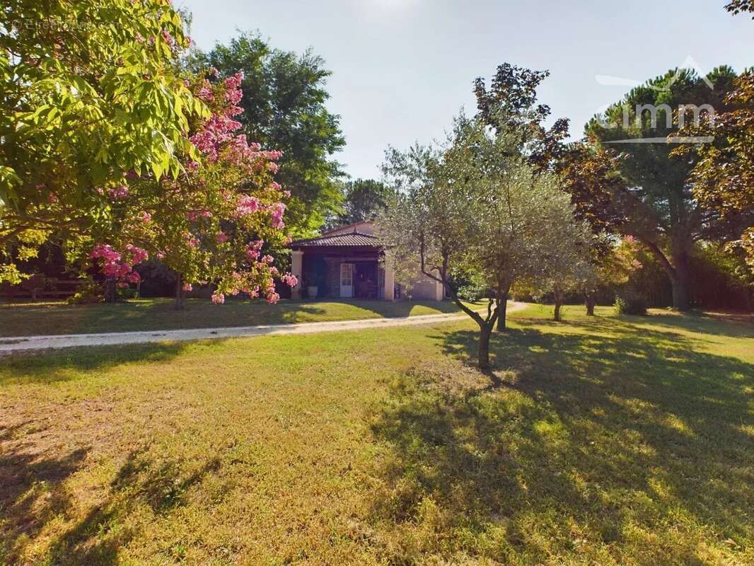 Commerce à SAINT-PAUL-LE-JEUNE