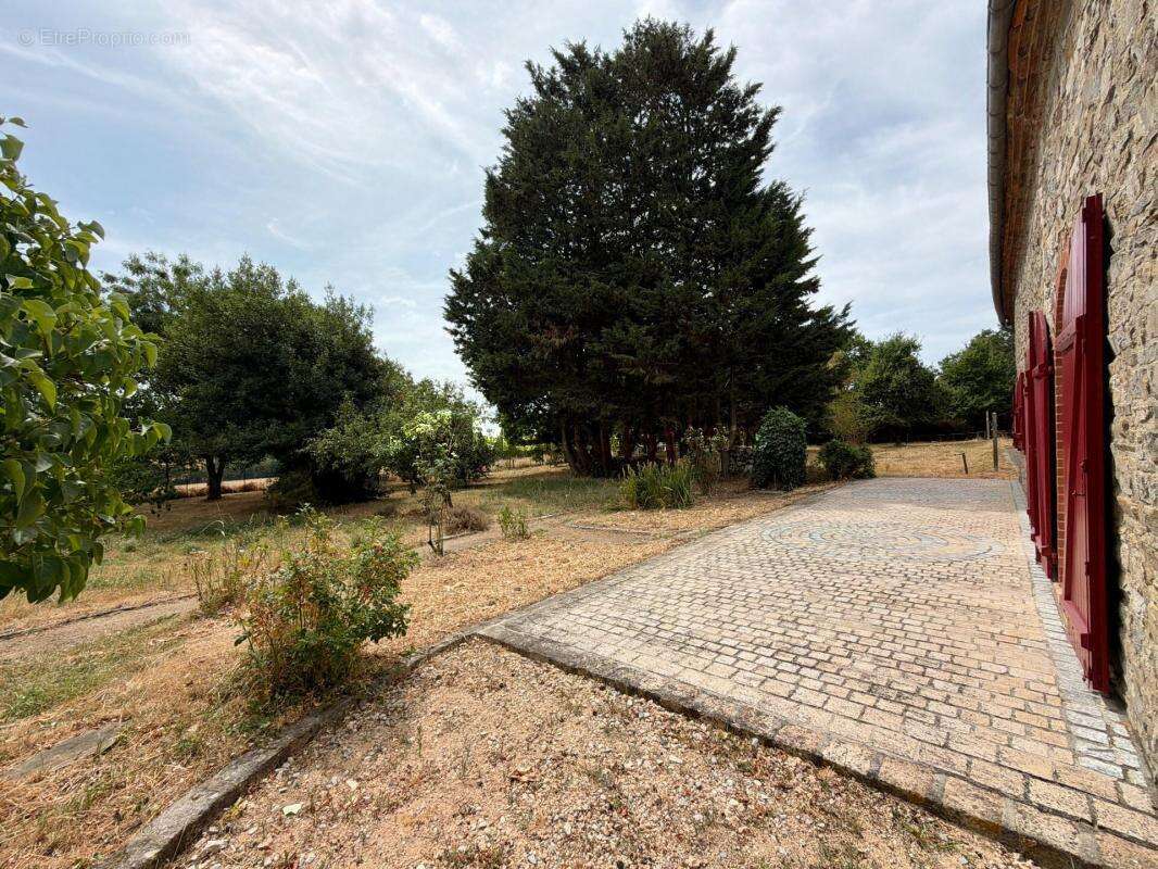 Maison en pierres de plain-pied avec dépendances sur 2,5 hectares – Saint-Saturnin-du-Limet (à 5 min de Renazé) - photo 18