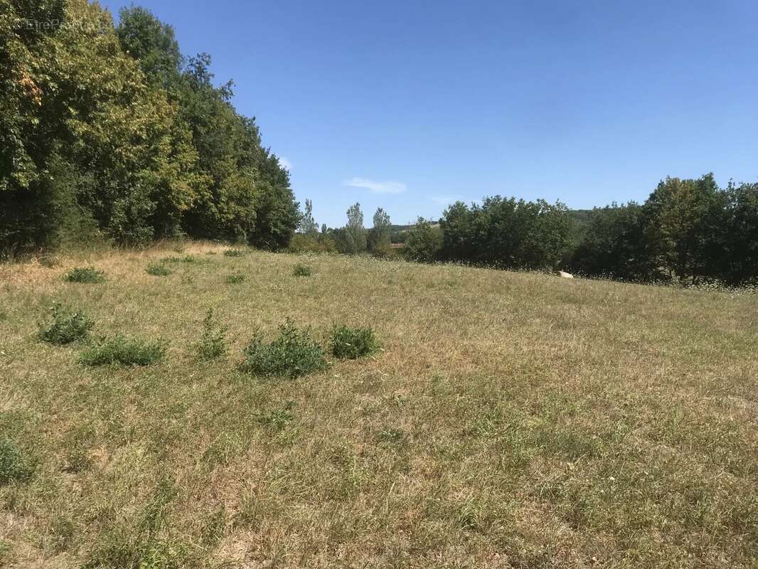 Terrain à CORDES-SUR-CIEL