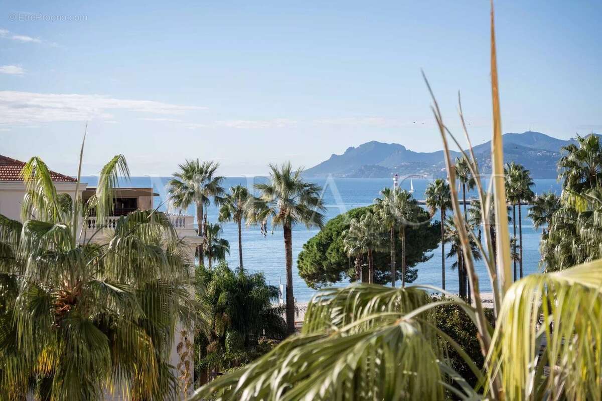 Appartement à CANNES