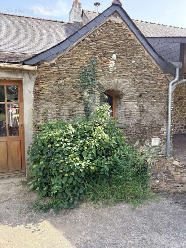 IMG_8468 - Maison à LA ROUXIERE
