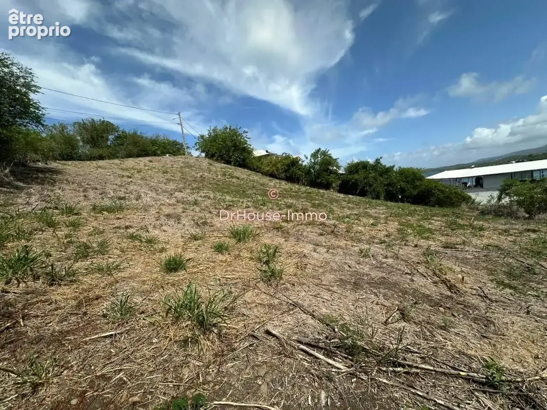 Terrain 3 699 m² à vendre à Le Robert (97231) - photo 12