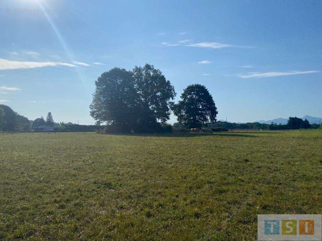 Terrain à LANNEMEZAN