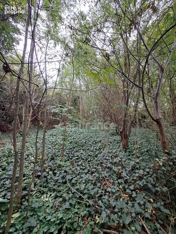 TERRAIN A BÂTIR, 811 m², rue des Côteaux à Ormesson-sur-Marne - photo 3