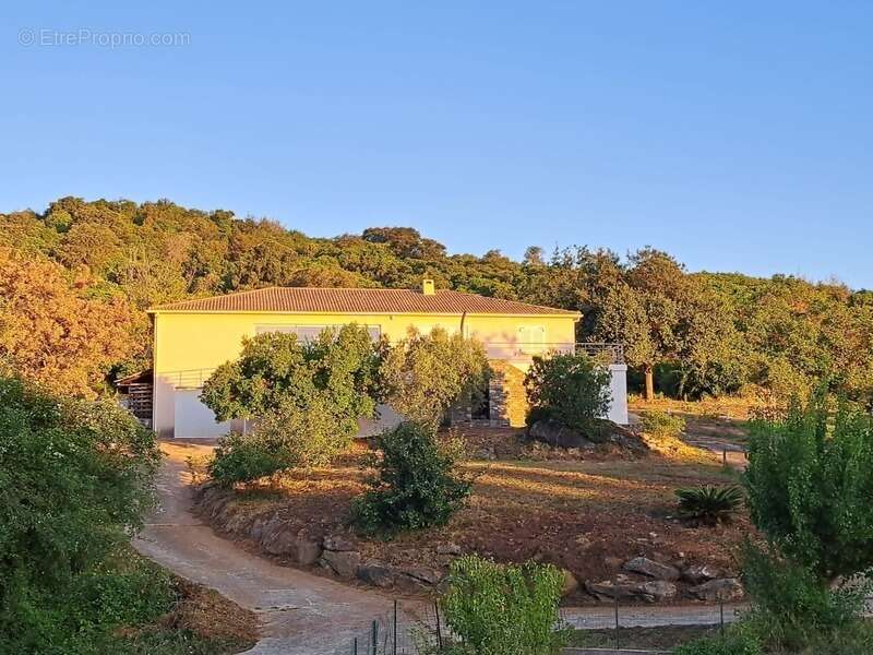 Maison de plain pied 170 m2, 5 chambres, piscine, garage, sans vis-à-vis,  terrain 5540 m2 à SAN NICOLAO, Moriani (HAUTE CORSE) - photo 2