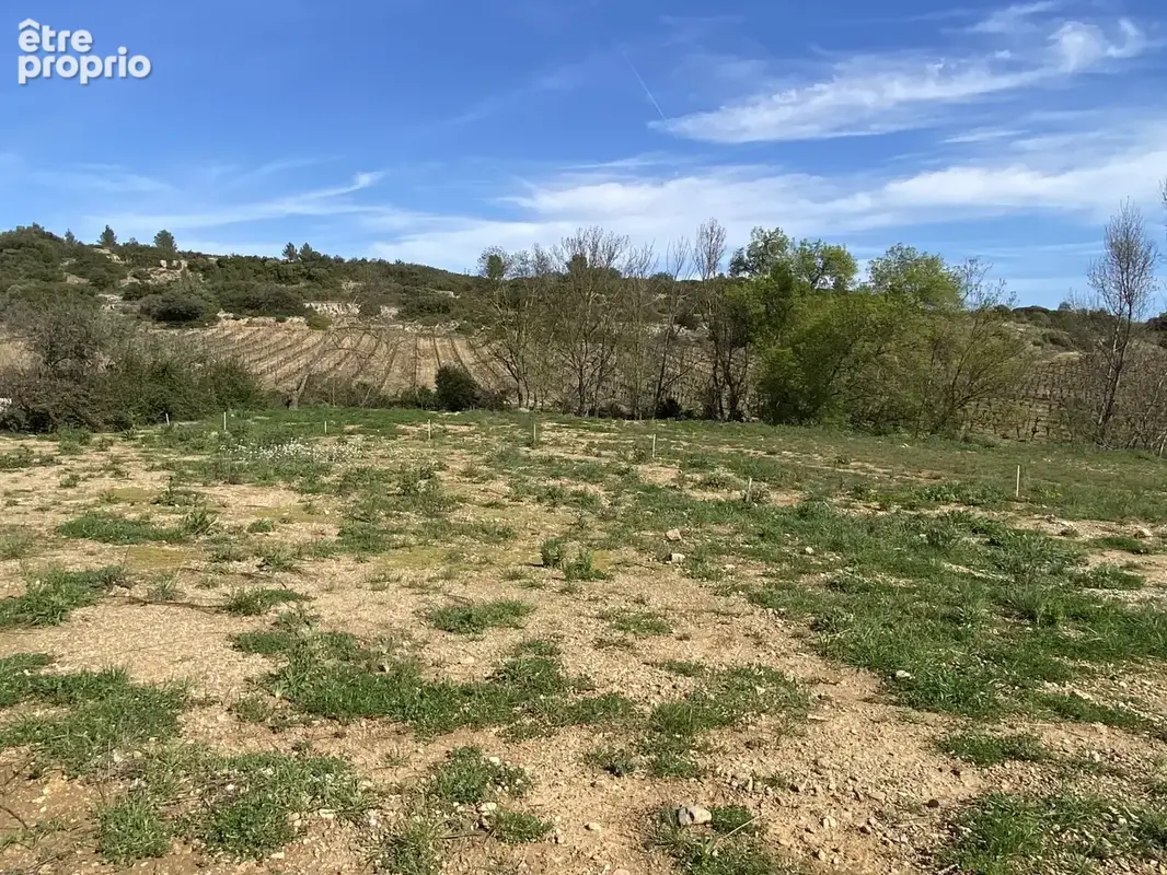 Terrain 996 m² à vendre à Cessenon-Sur-Orb (34460) - photo 3