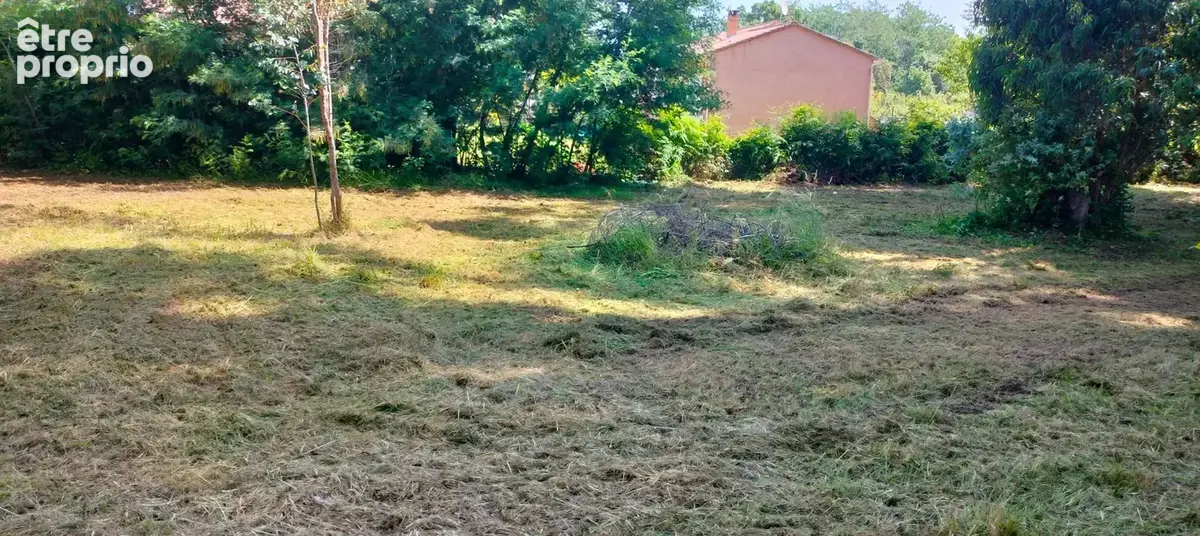 A vendre Terrain de 2200 m2, plat, arboré et clôturé à SAN NICOLAO (HAUTE CORSE) - photo 11