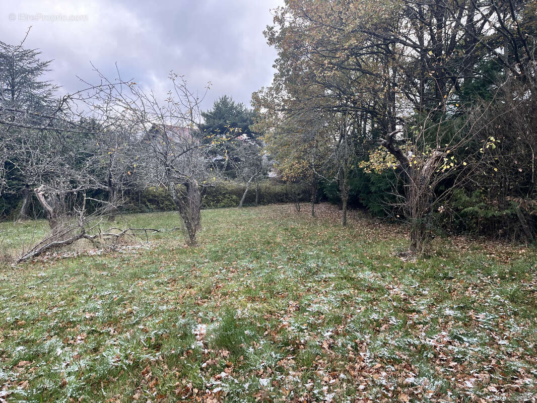 Terrain à UNIEUX