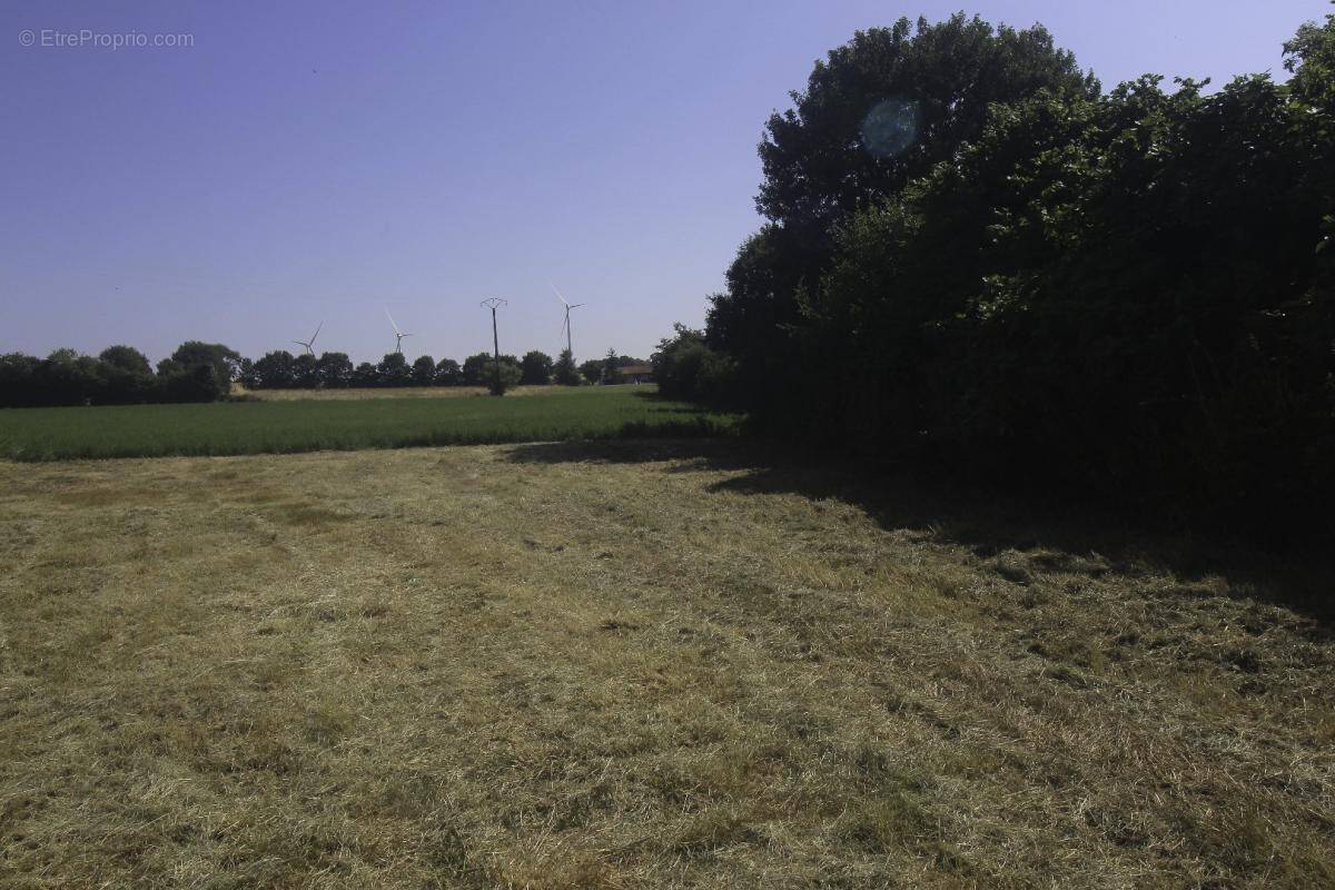 Terrain à NACHAMPS