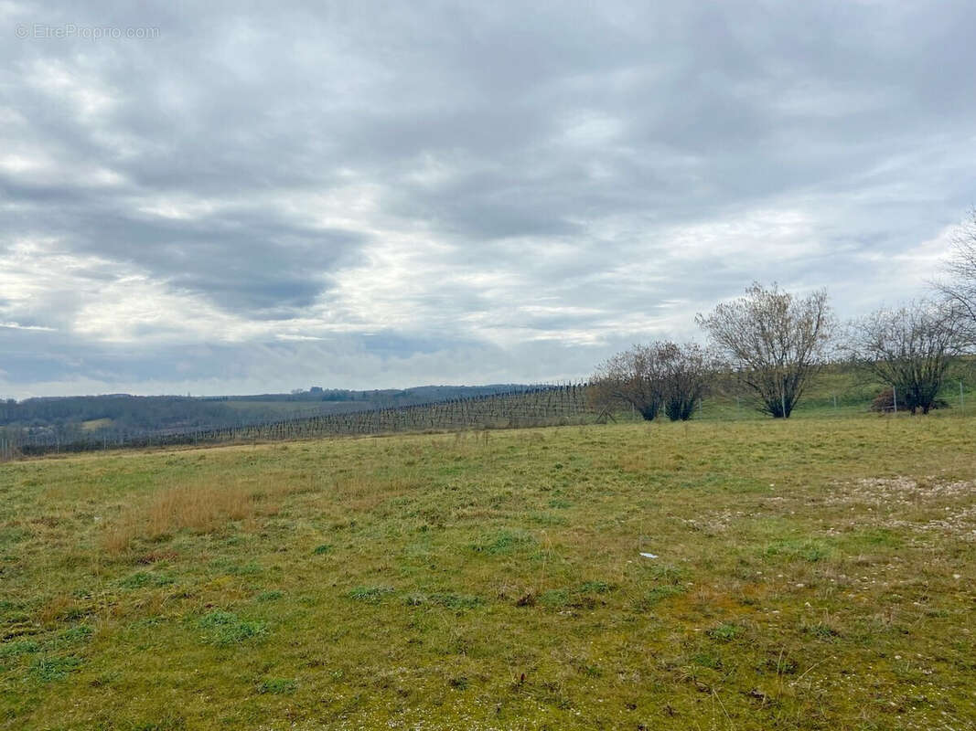 Terrain à PELLEGRUE