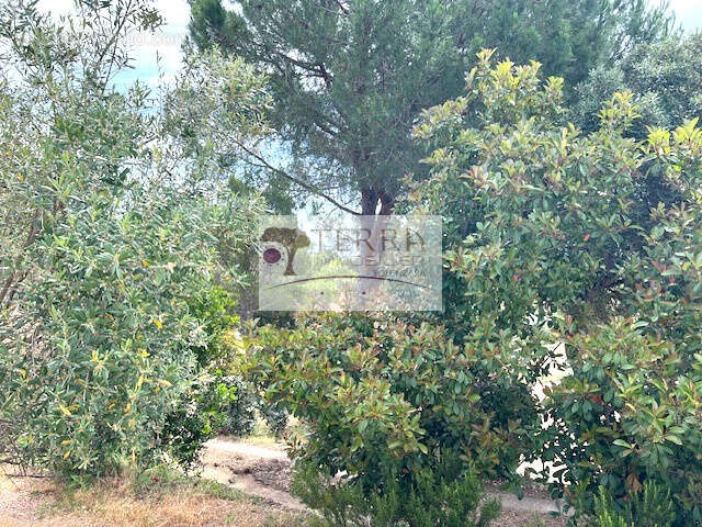 Appartement à SARI-SOLENZARA