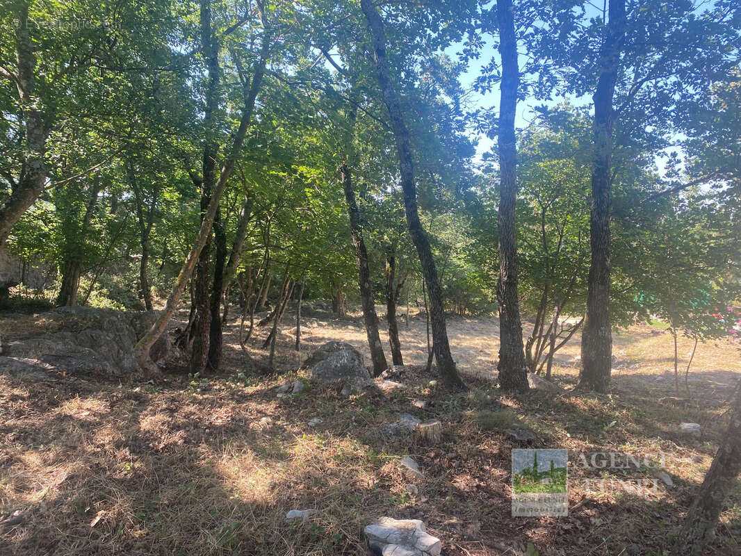 Terrain à SAINT-VALLIER-DE-THIEY
