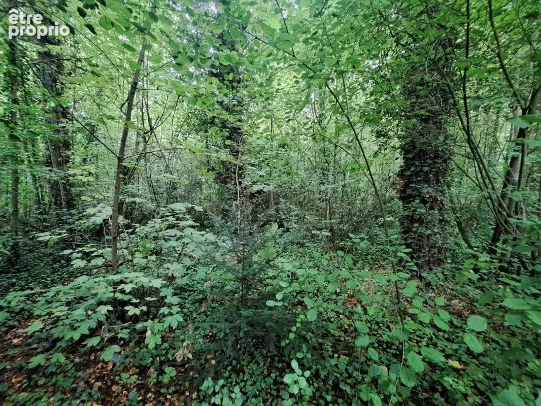 Terrain de loisir - photo 2