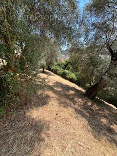 Terrain à MENTON