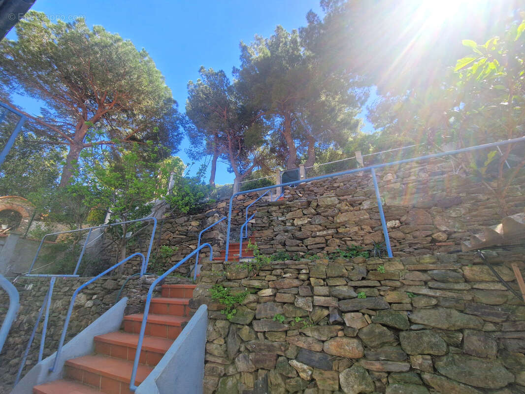 Appartement à COLLIOURE