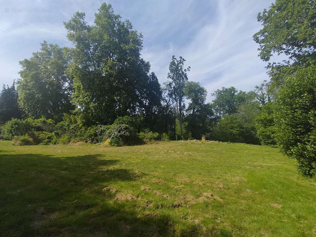 Maison à MONT-DE-MARSAN