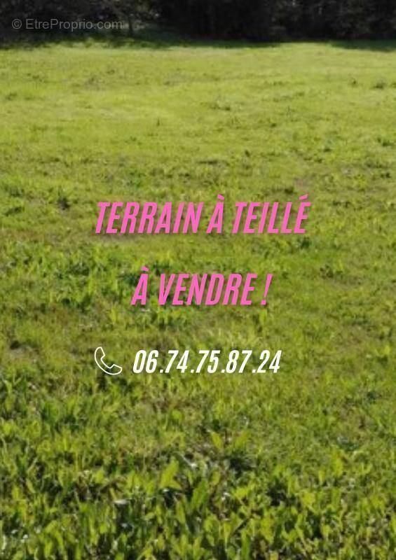 Terrain à TEILLE