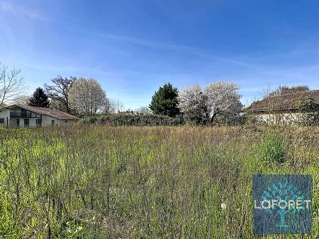Terrain à SAINT-GEOURS-DE-MAREMNE