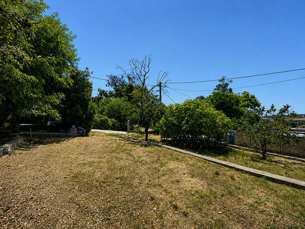 Maison 100m² à aléria - photo 12