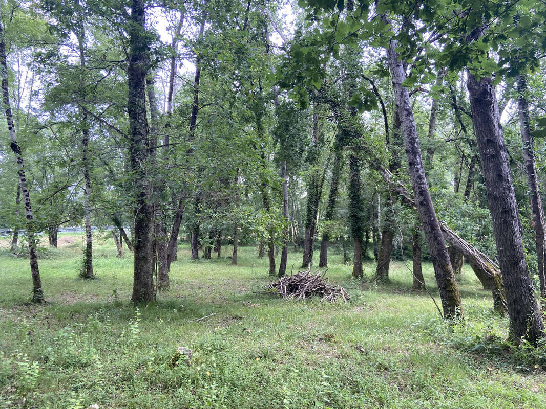 Terrain à LES SALLES-DE-CASTILLON