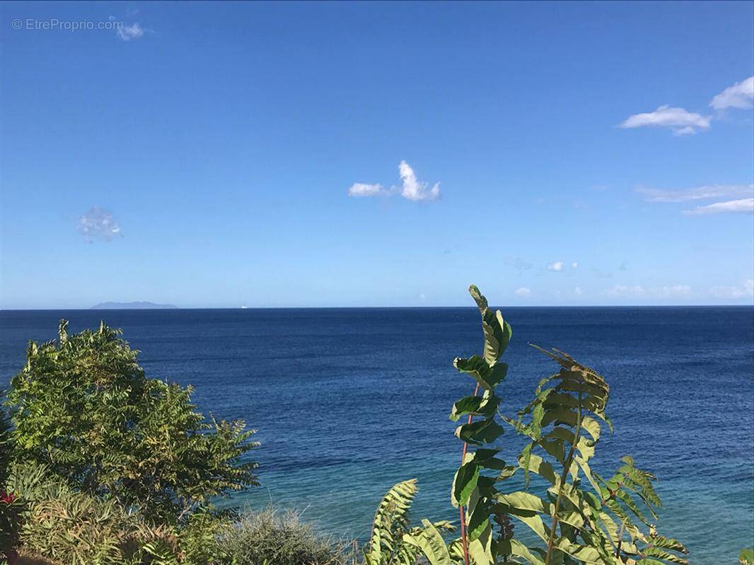 Terrain à BRANDO