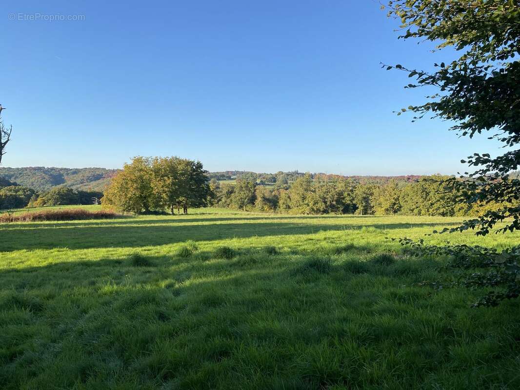 Maison à NEUVIC-ENTIER