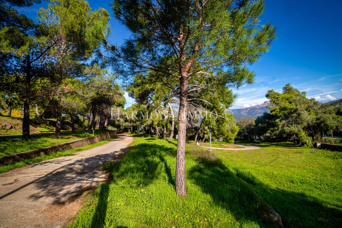 Camping de rêve avec vue mer panoramique en Corse du sud. - photo 3