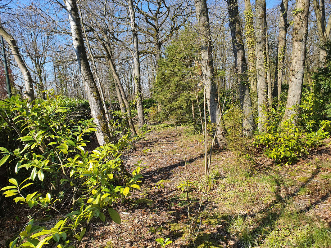 Terrain à LA CELLE-SAINT-CLOUD