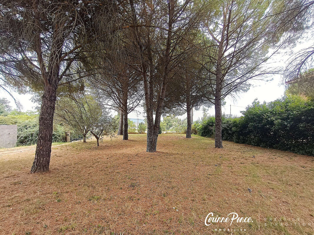 Nages et solorgues terrain constructible pinede de 2575m2 et maison de 112m2 corinne ponce immobilier - photo 3