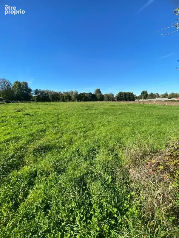Terrain 6 494 m² à vendre à Andres (62340) - photo 7