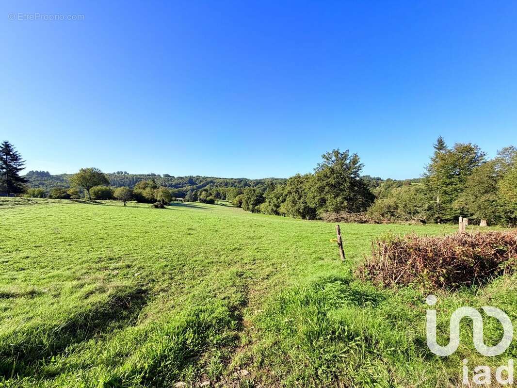 Photo 3 - Maison à SAINT-MARTIN-SAINTE-CATHERINE