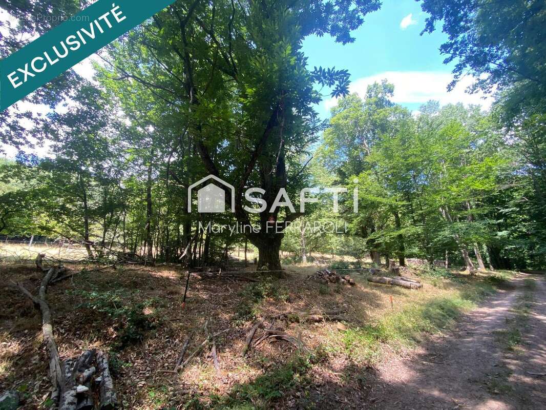 Photo 3 - Terrain à GOERSDORF