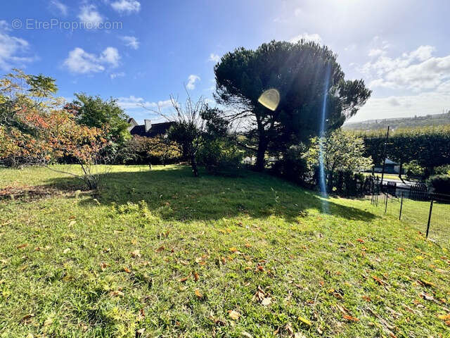 Terrain à PALAISEAU