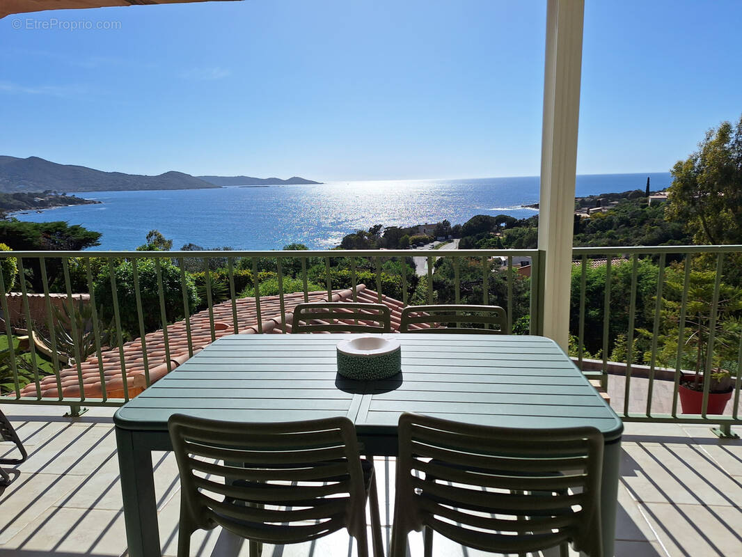 Maison à PIETROSELLA