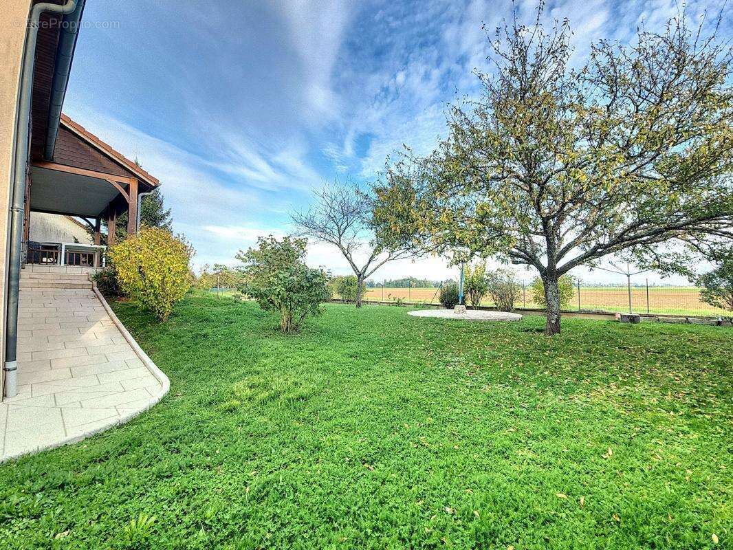 Maison à THOREY-EN-PLAINE