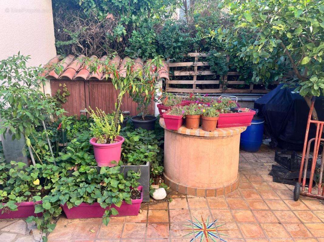 Commerce à PERPIGNAN