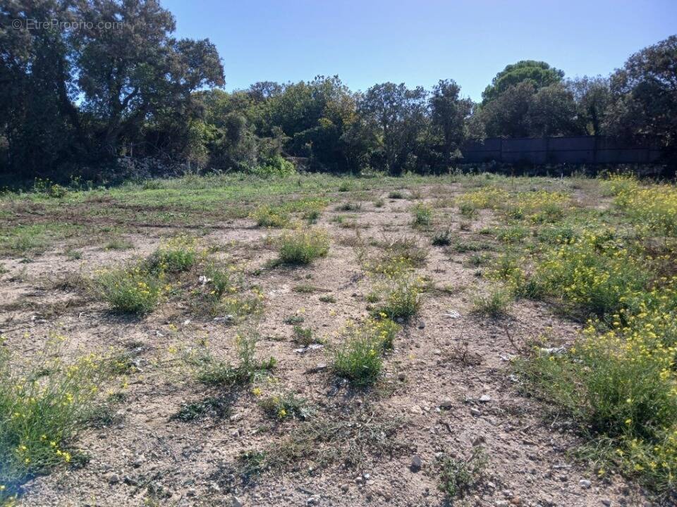 Terrain à VIC-LA-GARDIOLE