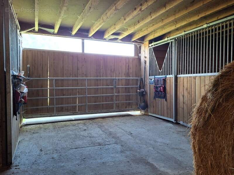 Propriété Corps de Ferme, Bâtisse d'habitation de caractère , nombreuses dependances dont Box, proche ALENCON, LE PERCHE, 2h00 P - photo 11