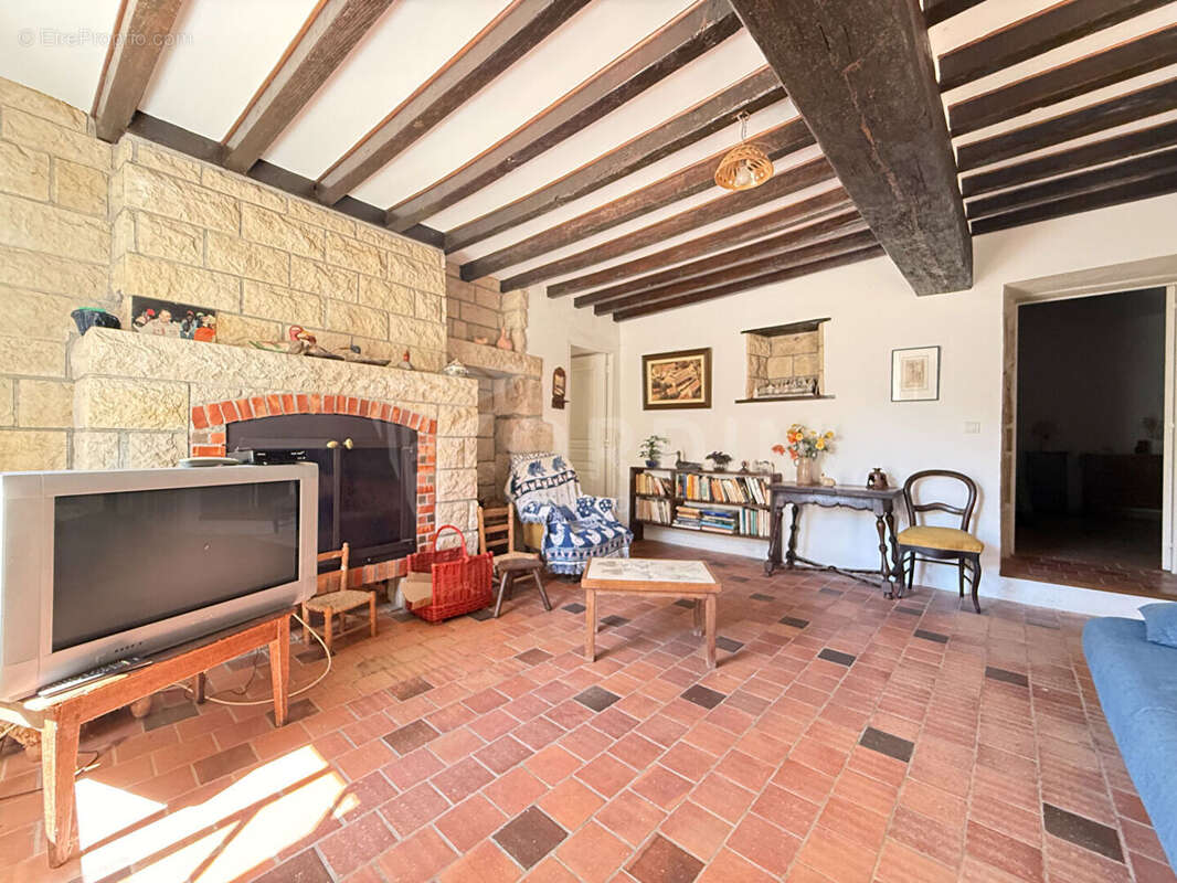 Beaulieu-sur-Loire  Ensemble immobilier de caractère, un bien rare ! - photo 12
