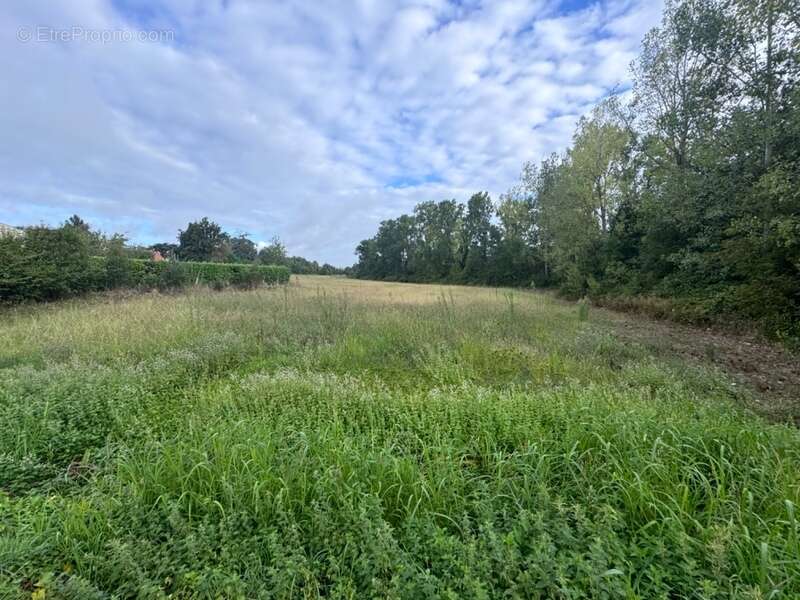 Terrain constructible  ESTILLAC (47) - photo 2