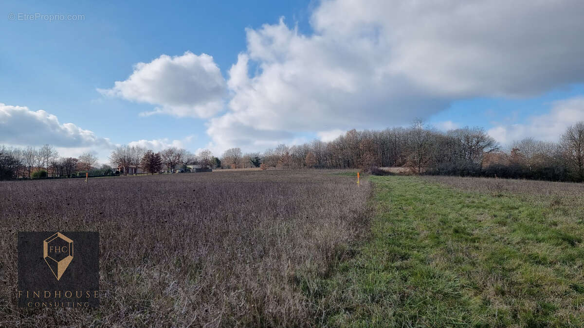 Terrain à L'ISLE-EN-DODON
