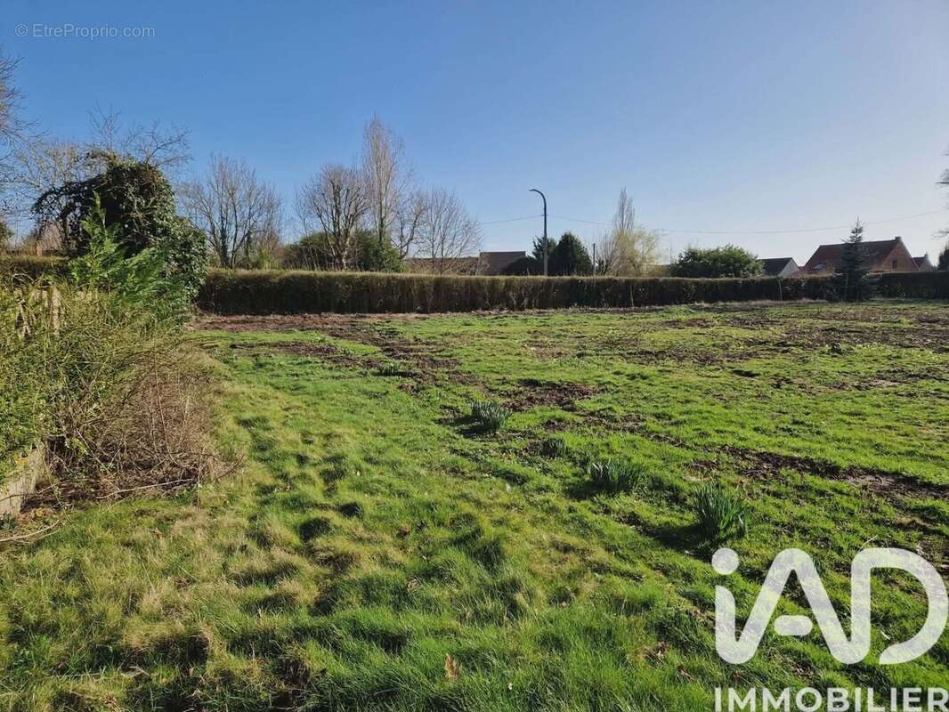 Photo 2 - Terrain à MAZINGARBE