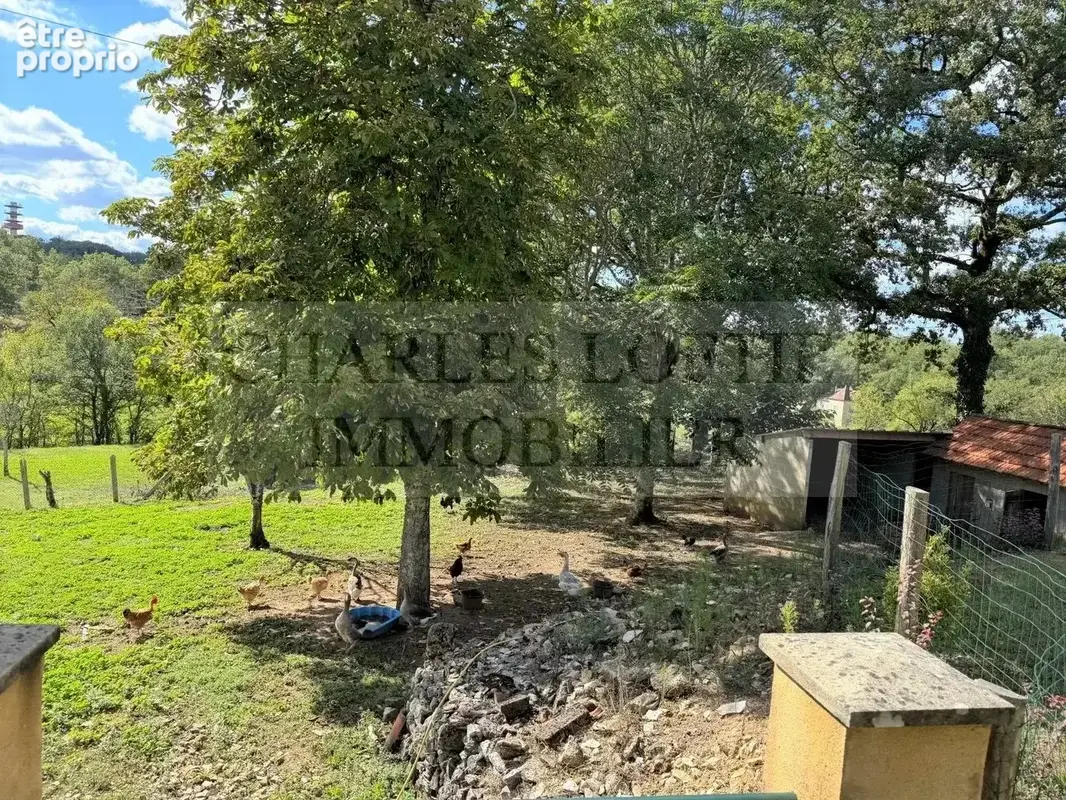 Ensemble de 2 maisons, dépendances sur 3 655 m² de terrain - photo 27