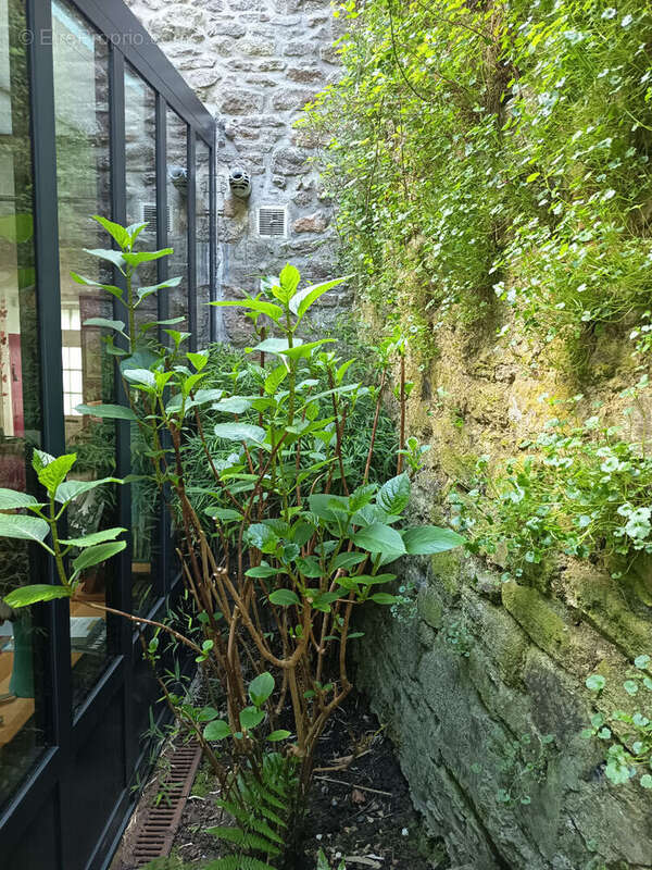 Centre historique dinan - photo 14