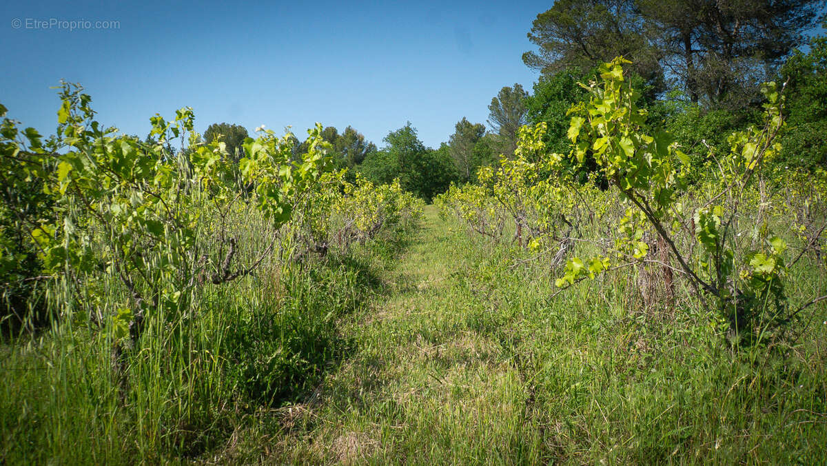 Maison à L'ISLE-SUR-LA-SORGUE